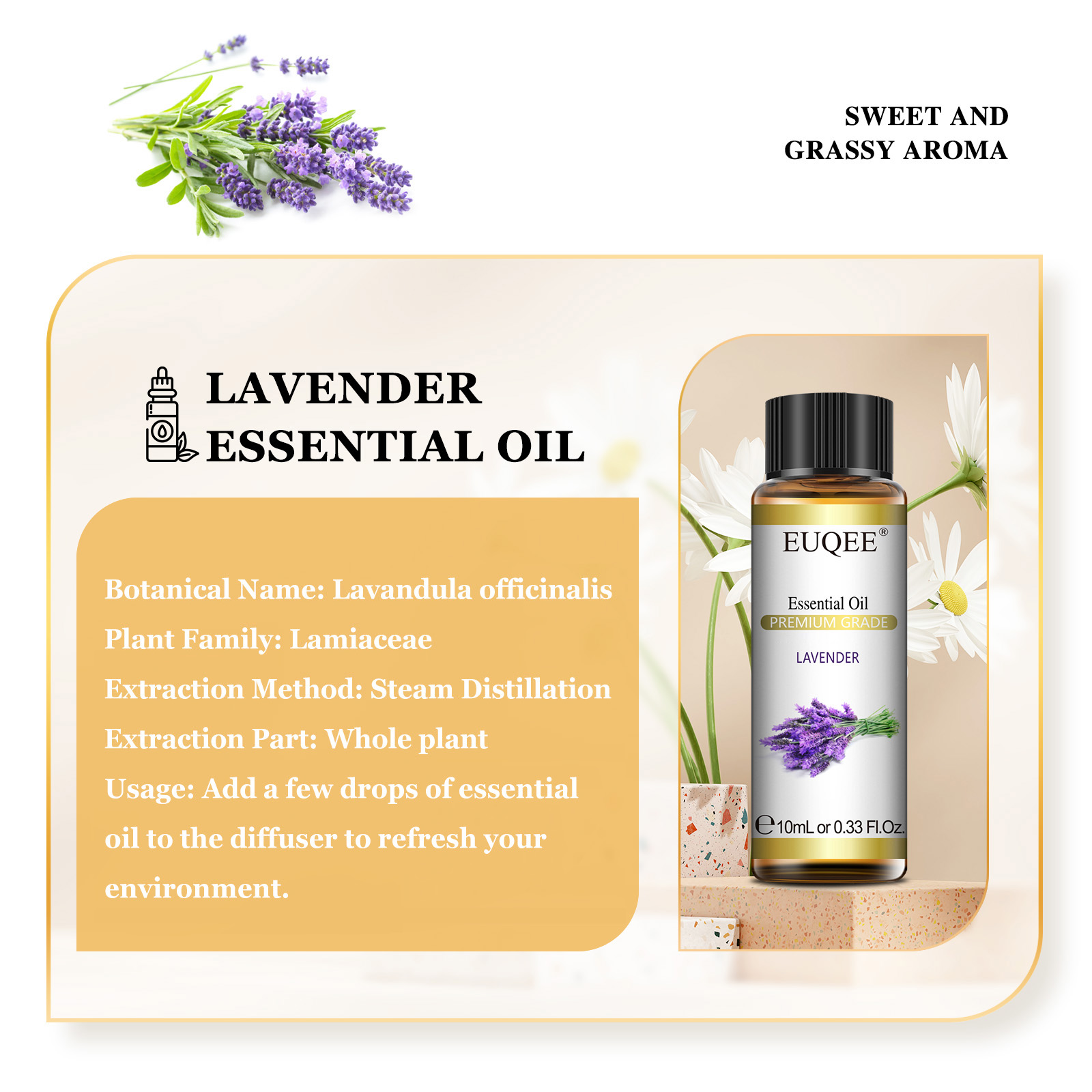 EUQEE 10ml 純粋な天然エッセンシャルオイル ラベン - Fragrance Oil 10Ml のレビューと価格